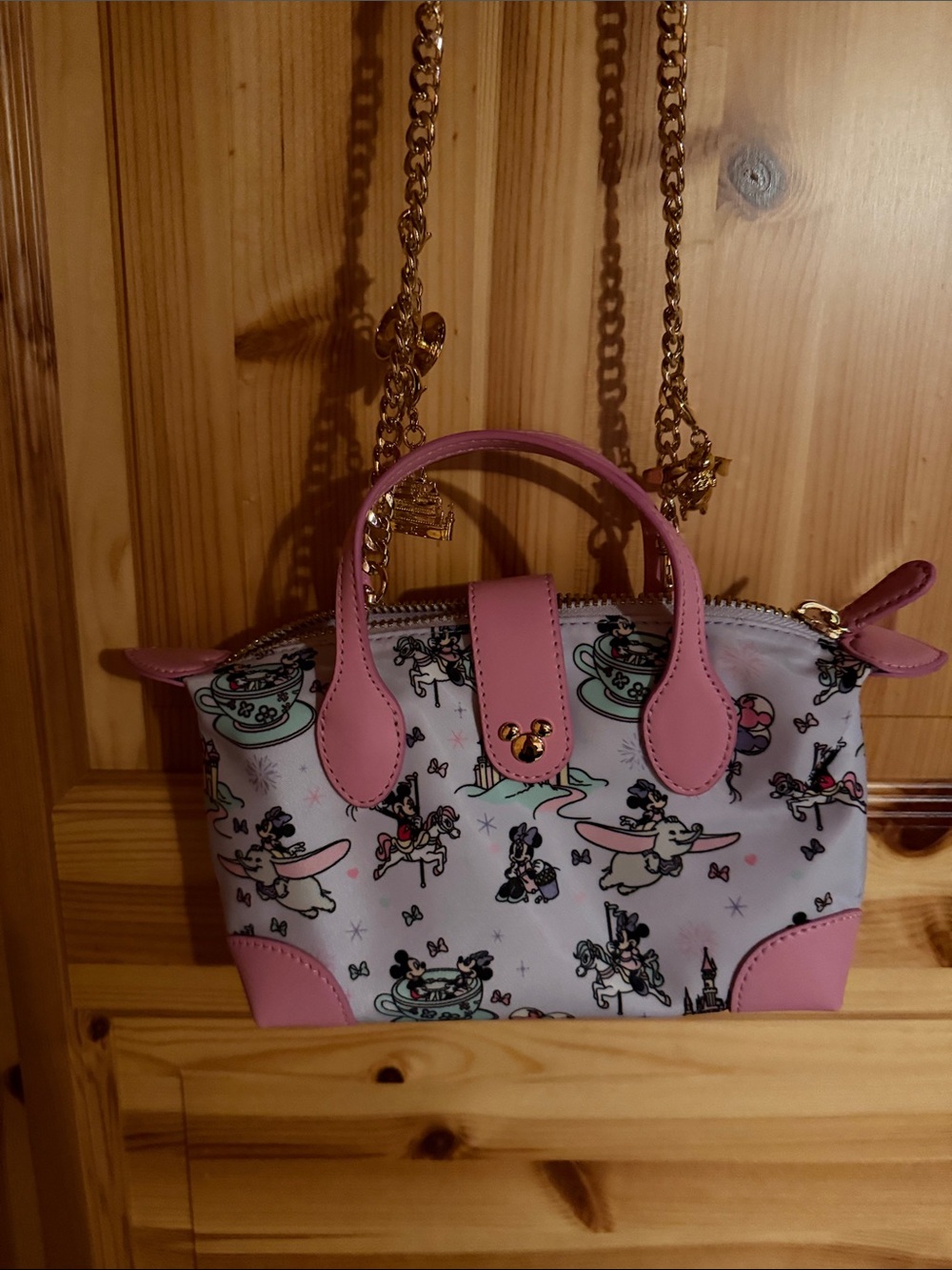 Disney parks 2026 in the parks collection Stoney clover lane Minnie and Mickey